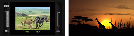 AFRIKA_Fumu.jpg